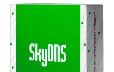 SkyDNS Школа. 95 лицензий на 1 год (SKY_Schl_95) картинка из объявления