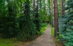 Продам участок 38 сот. картинка из объявления