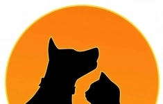 Ассистент ветеринарного врача картинка из объявления