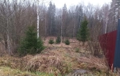 Продам участок 11.4 сот. картинка из объявления