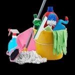 Моющие и чистящие средства (профессиональные) картинка из объявления