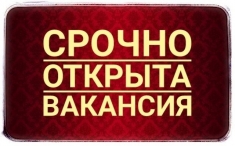 Meнеджep инmернeт магaзинa yдалeнно с гибкuм грaфuком картинка из объявления