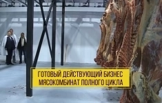 Продается Готовый действующий бизнес Мясокомбинат полного цикла картинка из объявления
