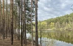 Продам коммерческую недвижимость 527.45 м2 в объявлении 10 фото Продам коммерческую недвижимость 527.45 м2 картинка из объявления