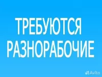 ТРЕБУЮТСЯ РАБОЧИЕ НА ПРОИЗВОДСТВО картинка из объявления