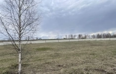 Продам участок 11 сот. картинка из объявления