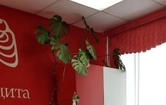 Сдам коммерческую недвижимость 150 м2 картинка из объявления