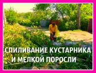 Спиливаем деревья в городе Масловка, мы спилим дерево в Масловке, картинка из объявления