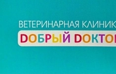 Ветеринарный врач картинка из объявления