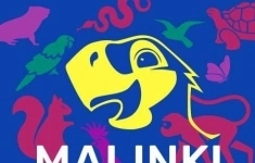 Товаровед картинка из объявления