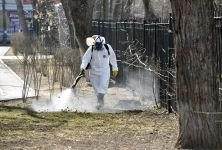 Уничтожение клещей комаров и кротов на участках в Шаховской картинка из объявления