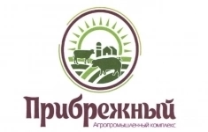 Главный бухгалтер картинка из объявления