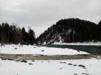 Продаются участки под турбизнес на Алтае возле Телецкого озера картинка из объявления
