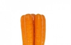 Морковь фидра F1 2,0-2,2 (25 000 семян) Rijk Zwaan картинка из объявления