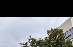 Сдам коммерческую недвижимость 549 м2 картинка из объявления