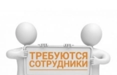 +79024660077 картинка из объявления