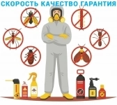 Дезинфекция, дезинсекция, дератизация картинка из объявления