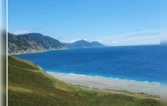 Продам коммерческую недвижимость 40000 сот в объявлении 10 фото Продам коммерческую недвижимость 40000 сот картинка из объявления