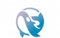 Военнослужащий по контракту на СВО в объявлении 1 фото Военнослужащий по контракту на СВО картинка из объявления