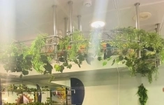 Сдам коммерческую недвижимость 280 м2 в объявлении 8 фото Сдам коммерческую недвижимость 280 м2 картинка из объявления