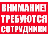 Личный ассистент руководителя от 22 000 до 48 000 рублей картинка из объявления