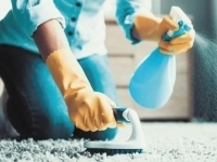 Профессиональный клининговый сервис в объявлении 1 фото Профессиональный клининговый сервис картинка из объявления