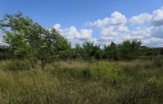 Продам участок 10 сот. картинка из объявления