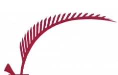 Бухгалтер в объявлении 1 фото Бухгалтер картинка из объявления