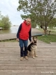 Вязка кобель восточноевропейская овчарка картинка из объявления