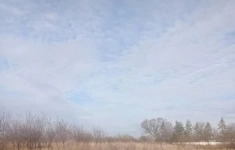 Продам участок 12 сот. картинка из объявления