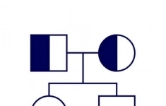 Медициниская сестра врача акушера-гинеколога картинка из объявления