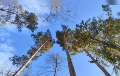 Продам участок 10.03 сот. картинка из объявления