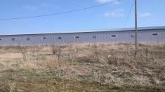 Продам или сдам в аренду: Бизнес по производству комбикормов   Склады под хранение бобовых и зерновых культур картинка из объявления