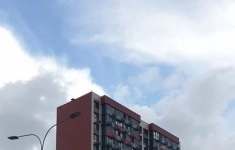 Сдам 1 комнатную квартиру 25 м2 картинка из объявления