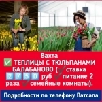 На вахту срочно требуются Калужская обл., дер. Балабаново Теплицы, выращивание тюльпанов Рабочие (М/Ж) — работа в цветочной теплице, пикировка, срезка картинка из объявления