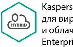 Защита виртуальных серверов Kaspersky Security для виртуальных и облачных сред Enterprise Edition для 250-499 серверов картинка из объявления