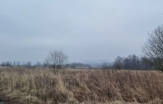 Продам участок 1801 сот. картинка из объявления