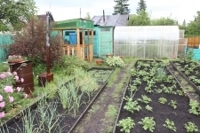 Продам дачу 30 кв.м. картинка из объявления