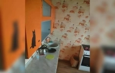 Продам 1 комнатную квартиру 40 м2 в объявлении 5 фото Продам 1 комнатную квартиру 40 м2 картинка из объявления