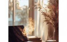 Начинающий риэлтор удаленно в объявлении 1 фото Начинающий риэлтор удаленно картинка из объявления