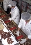Упаковщик на шоколадную фабрику картинка из объявления