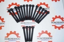 Комплект болтов для головки блока цилиндров (ГБЦ) ZH4100 ZHAZG1 ZHBG 14-A подходит для китайских фронтальных погрузчиков марок: Fukai BULL NEO AMUR картинка из объявления