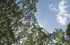 Продам коммерческую недвижимость 39 м2 в объявлении 10 фото Продам коммерческую недвижимость 39 м2 картинка из объявления