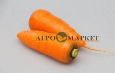 Морковь абако F1 2,2-2,4 (1 000 000 семян) Seminis картинка из объявления