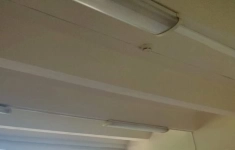 Сдам коммерческую недвижимость 39 м2 в объявлении 4 фото Сдам коммерческую недвижимость 39 м2 картинка из объявления