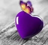 Книга Звезды и секс. Антология любви. Эротический гороскоп в объявлении 3 фото Книга Звезды и секс. Антология любви. Эротический гороскоп картинка из объявления