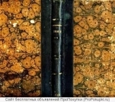 Учебникъ неорганической химiи A. Шуляченко. 1882 год. в объявлении 8 фото Учебникъ неорганической химiи A. Шуляченко. 1882 год. картинка из объявления