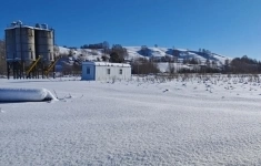 Продам коммерческую недвижимость 150 сот картинка из объявления