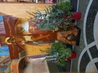 Целительство. Магия в объявлении 1 фото Целительство. Магия картинка из объявления