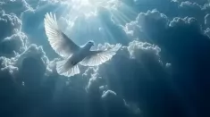 высшая магия в ярославле эзотерические практики приворот гадание картинка из объявления